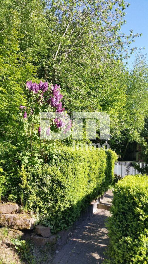 Opulente Gästehausanlage mit 13 Zimmern,2 Sälen,Gastronomiebetrieb + Betreiberwohnung - Zuweg zur  großen Terrasse